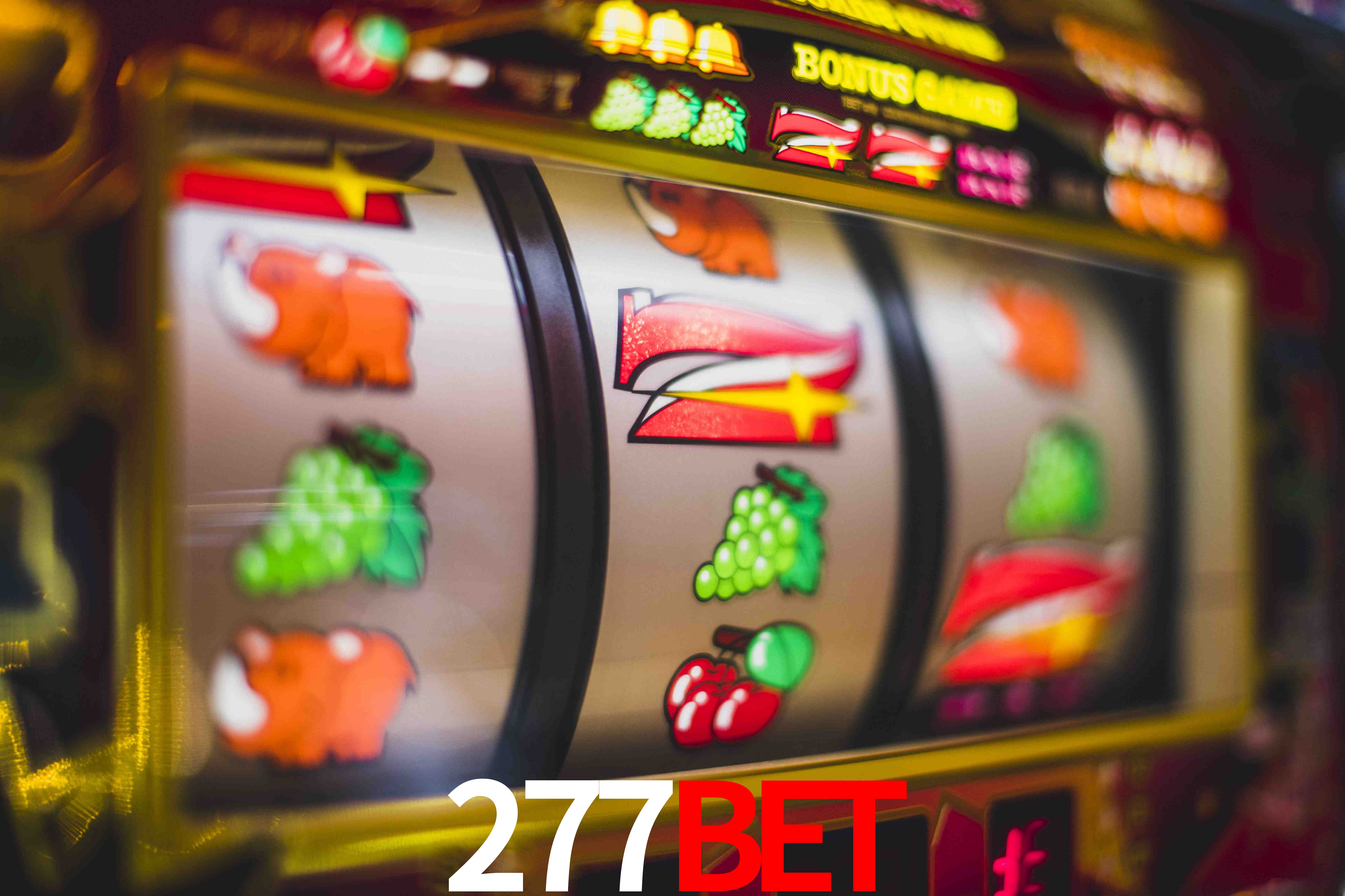 Crash Games Statistics 277bet